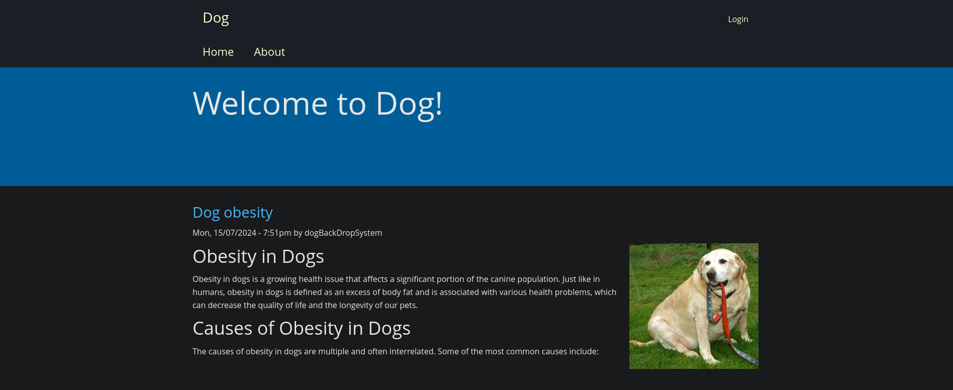 Dog
